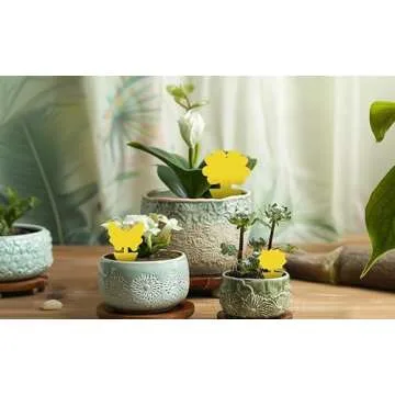 72 Pcs Classic Sticky Traps for Fungus Gnat (Plants), Flying Insect, Whitefly and Fly, Yellow Sticky Insect Catcher Traps for Indoor/Outdoor, Kitchen, and Plants, High-End Glue, Non-Toxic, 4 Shapes