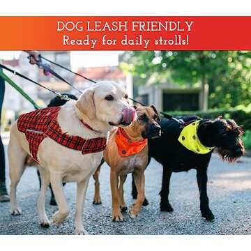SPOT THE DOG! Reflective Dog Vest - Adjustable Dog Safety Vest, High Visibility Fluorescent Apparel for Dog Walking, Dog Hiking and Camping, Hunting Dog, On or Off Leash (Blaze Orange, M)