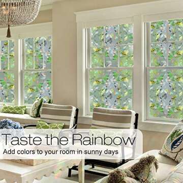 Rabbitgoo Window Film for Privacy and Style