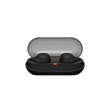 Sony WF-C500 True Wireless Headphones with 20 Hours Battery