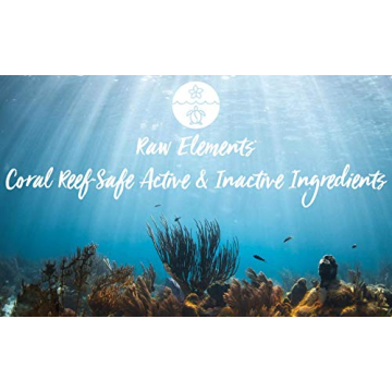 Raw Elements Reef Safe Mineral Sunscreen - SPF 30+