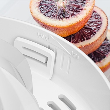 BLACK+DECKER 32oz Citrus Juicer for Fresh Juice at Home