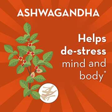 Align Probiotic, Digestive De-stress, Probiotic for Women and Men with Ashwagandha, Helps with a Healthy Response to Stress, Gluten Free, Soy Free, Vegetarian, 21 Capsules