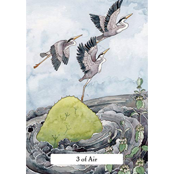 Witches' Wisdom Tarot Deck - Deluxe Edition for Spiritual Insight