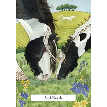 Witches' Wisdom Tarot Deck - Deluxe Edition for Spiritual Insight