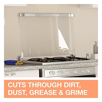 Safe Family Guard Disinfectant Spray for Homes with Pets