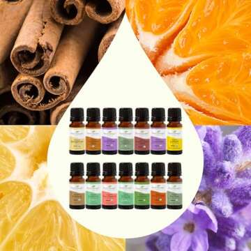 Plant Therapy Top 14 Organic Essential Oil Singles Set 100% Pure Essential Oils, Undiluted, Natural Aromatherapy for Diffusion and Body Care 10 mL (1/3 oz) Each