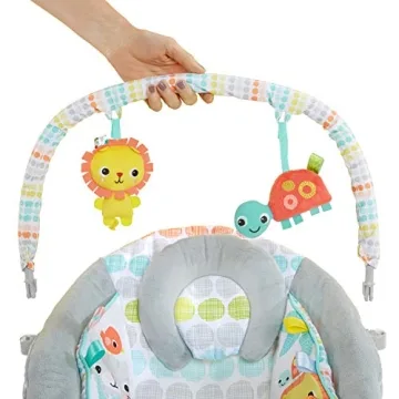 Bright Starts Baby Bouncer with Vibrations and Music 0-6 Months