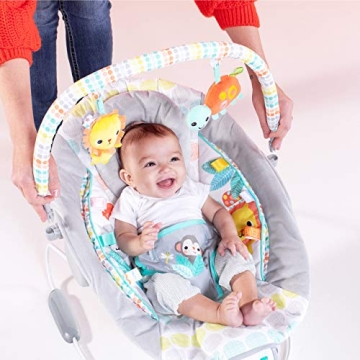 Bright Starts Baby Bouncer with Vibrations and Music 0-6 Months