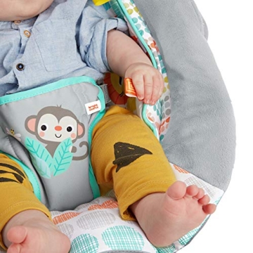 Bright Starts Baby Bouncer with Vibrations and Music 0-6 Months