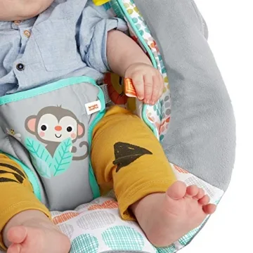 Bright Starts Baby Bouncer with Vibrations and Music 0-6 Months