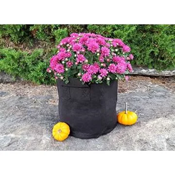 Bootstrap Farmer 5 Gallon Grow Bags for Thriving Plants