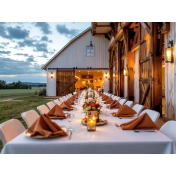 Elegant Rustic Orange French Linen Napkins Set of 4