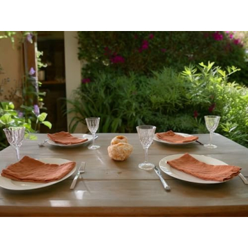 Elegant Rustic Orange French Linen Napkins Set of 4