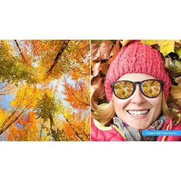 Photo Editing Software - Adobe Photoshop Elements 2022