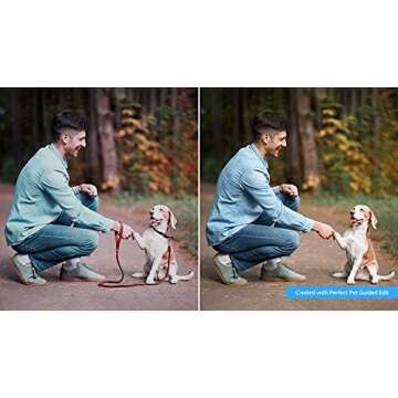 Photo Editing Software - Adobe Photoshop Elements 2022