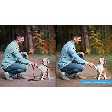 Photo Editing Software - Adobe Photoshop Elements 2022