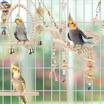 Multi-Function Bird Toys for Fun and Engagement