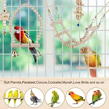 Multi-Function Bird Toys for Fun and Engagement