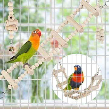 Multi-Function Bird Toys for Fun and Engagement