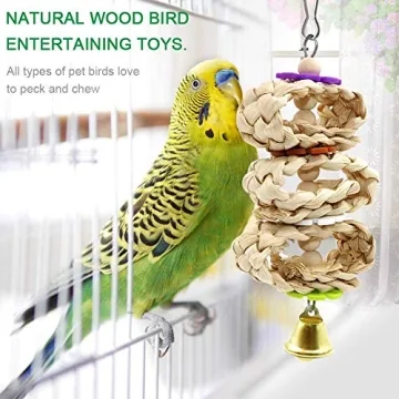 Multi-Function Bird Toys for Fun and Engagement