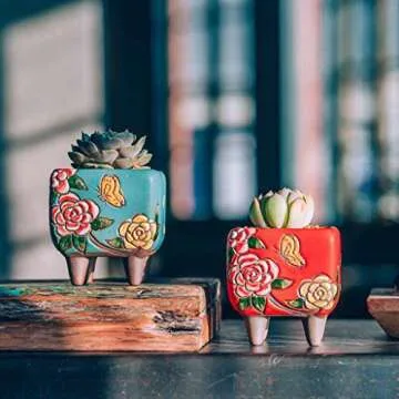 Summer Impressions Succulent Pots 3.63 Inch Hand Painted Square Cactus Planter Pot Clay Pot Flower Pot Butterfly Design with Saucers Pack of 4