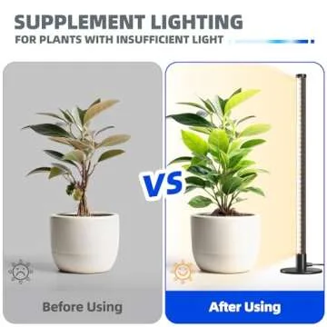 Barrina T10 Vertical Grow Light, 20W 2FT Desk LED Plant Light, Hanging and Standing, Table Top Full Spectrum Grow Lights for Indoor Plants with Stand and On/Off Switch, Ideal for Plants Growth