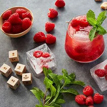 Two Tumbleweeds Mixology Dice Set for Unique Cocktails