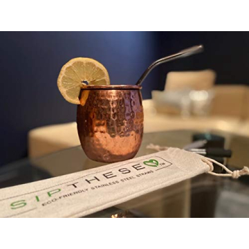 Eco-Friendly SipThese 8 pc Stainless Steel Straws Set