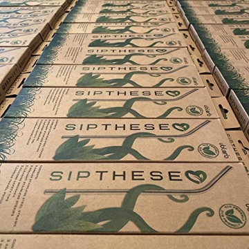 Eco-Friendly SipThese 8 pc Stainless Steel Straws Set