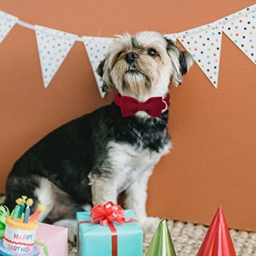 Adjustable Babole Pet Wine Red Dog Collar with Bow Tie