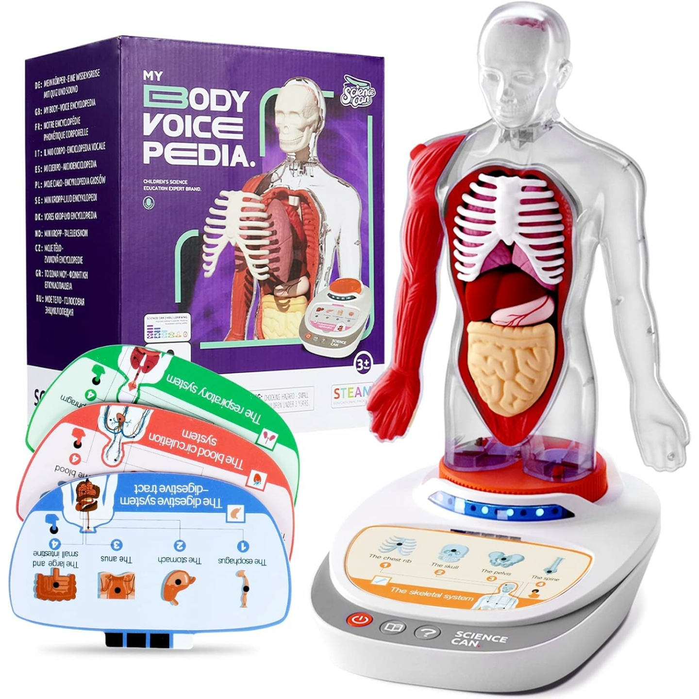 Kid's Interactive Human Body Anatomy Toy Set