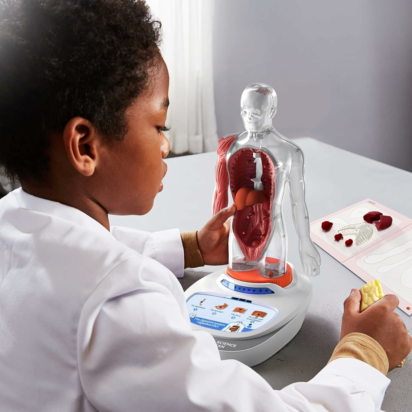 Kid's Interactive Human Body Anatomy Toy Set