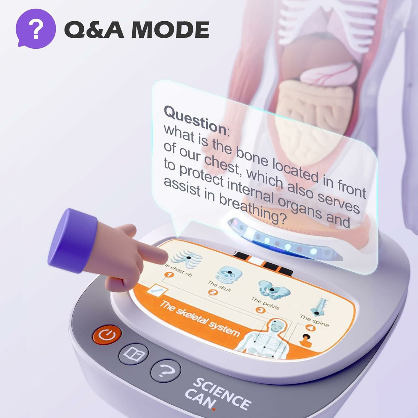 Kid's Interactive Human Body Anatomy Toy Set