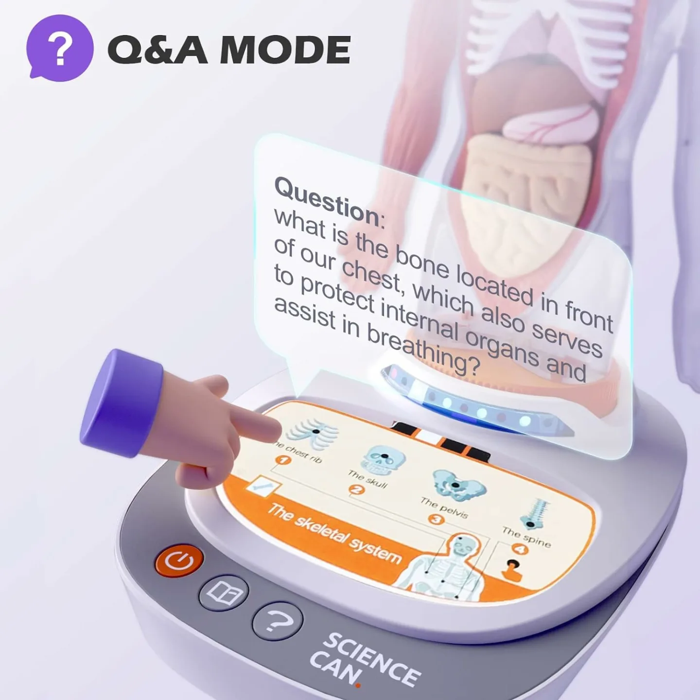 Kid's Interactive Human Body Anatomy Toy Set