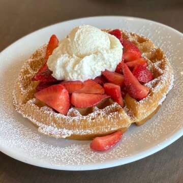 Snacktivist Plant-Based Protein Pancake & Waffle Mix, Gluten-Free, Non-GMO, Vegan, 12 Ounce