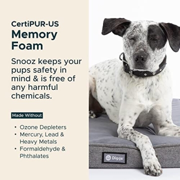 Diggs Snooz Memory Foam Orthopedic Dog Bed Comfort