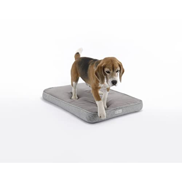 Diggs Snooz Memory Foam Orthopedic Dog Bed Comfort