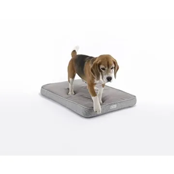 Diggs Snooz Memory Foam Orthopedic Dog Bed Comfort