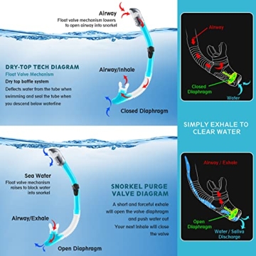 ZEEPORTE Snorkel Set for All-Age Adventures by Zeeporte