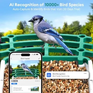 Solar Powered Smart Bird Feeder with AI Camera