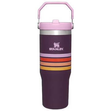 Stanley IceFlow Stainless Steel Tumbler - Vacuum Insulated Water Bottle for Home, Office or Car Reus...