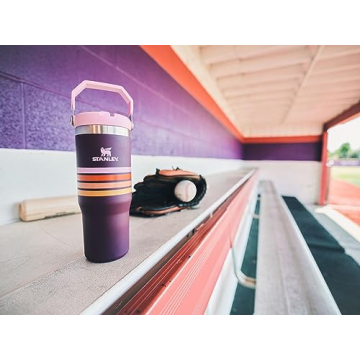 Stanley IceFlow Stainless Steel Tumbler - Vacuum Insulated Water Bottle for Home, Office or Car Reusable Cup with Straw Leak Resistant Flip Cold for 12 Hours or Iced for 2 Days, Plum Stripe, 30OZ