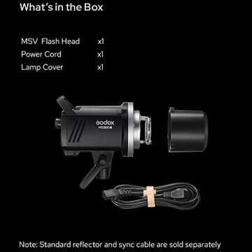 Godox MS300V Strobe Light, 300WStudio Strobe Flash 110V GN58 5600K, 2.4G Wireless System, with LED Modeling Lamp, Recycle Time 0.1～1.8S, Bowens Mount Monolight for Photography Lighting Flashligh