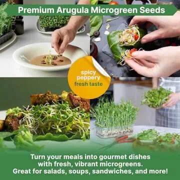 Non-GMO Arugula Microgreens Seeds - 1lb Heirloom Sprout Kit
