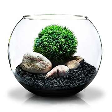 Doter Horticultural Charcoal - Natural Soil Enhancer for Plants