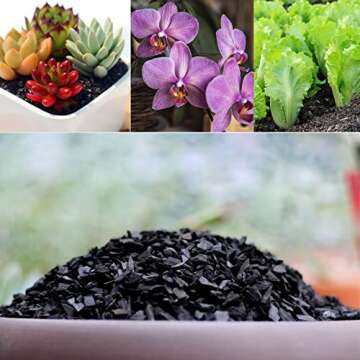 Doter Horticultural Charcoal - Natural Soil Enhancer for Plants
