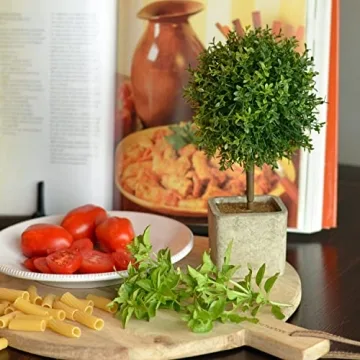 WHW Realistic Faux Boxwood Ball Topiary Tree - 10.25" Tall