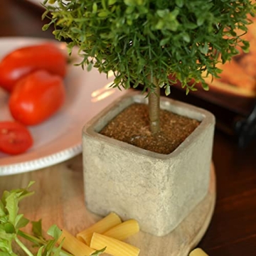 WHW Realistic Faux Boxwood Ball Topiary Tree - 10.25" Tall