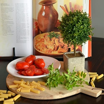 WHW Realistic Faux Boxwood Ball Topiary Tree - 10.25" Tall